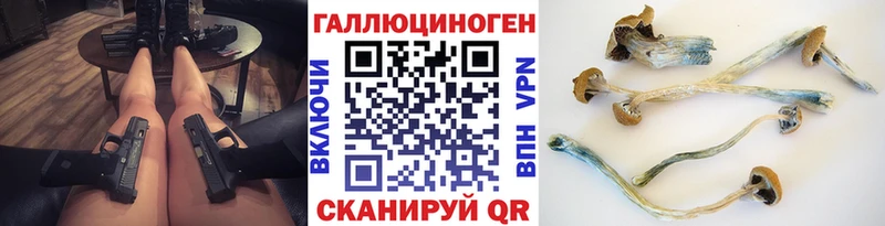 Псилоцибиновые грибы MAGIC MUSHROOMS  Купить закладки  Нея 
